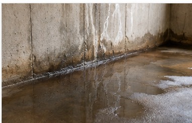 Water at Walls & Floors
